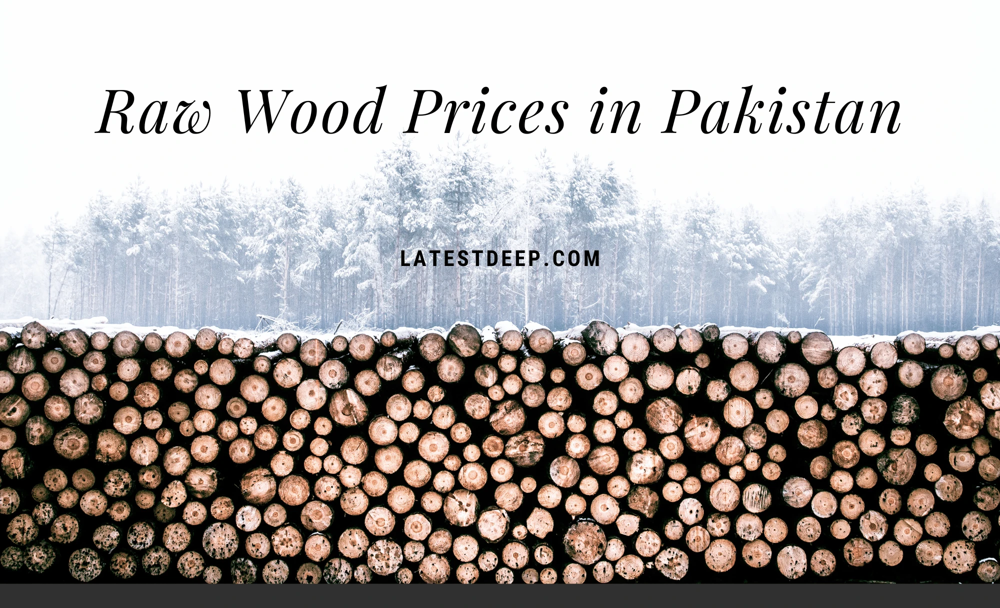 Copy of Raw Wood Prices in Pakistan